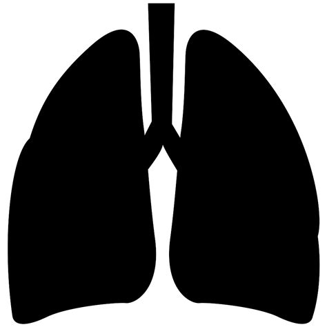 Lungs Svg Png Icon Free Download 211965 Onlinewebfontscom