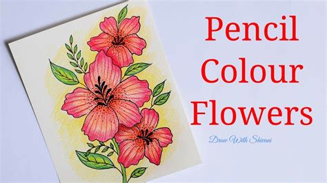 Drawing Flowers With Coloured Pencils Home Alqu