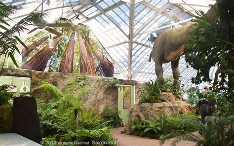 Hours may change under current circumstances Plantosaurus exhibit at san francisco conservatory of flowers