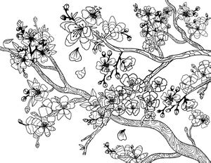Cherry blossom japanese colors cool coloring pages backgrounds phone wallpapers coloring pages cherry blossom drawing. Cherry Blossom Coloring Page | Tree coloring page, Cherry ...