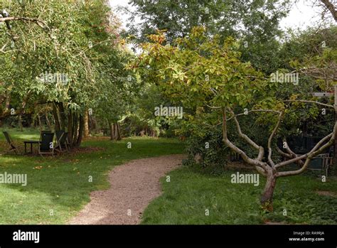 Tea Garden Grantchester High Resolution Stock Photography and Images