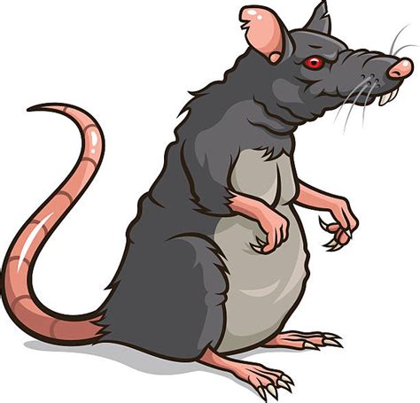 Cartoon Of The Rat Art Illustrations Royalty Free Vector Graphics
