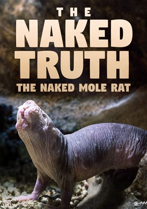 Naked Molerat Natures Weirdest Superhero Posters The Movie Hot Sex Picture