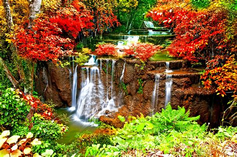 Waterfall Full Hd Wallpaper And Background Image 2560x1600 Id346871