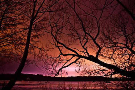 Forest Lake At Night By Louislienhoeft On Deviantart