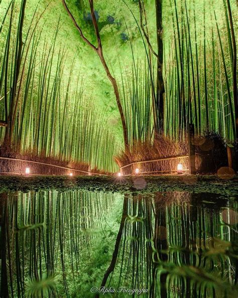 Awesomelife Style Magical Reflections At Bamboo Forest Of Arashiyama