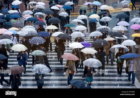 Crowds Of People With Umbrellas Cross Street In Rain In Tokyo 2008