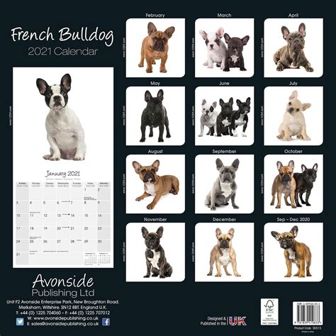 'rafael nadal's french open record will never be beaten', predicts andy murray. French Bulldog Studio Range Calendar, Dog Breed | Pet ...