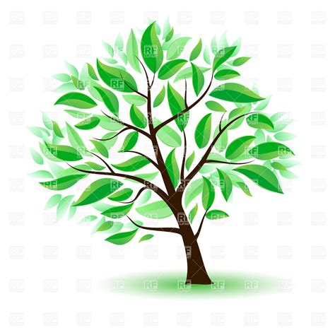 Cartoon Tree With Leaves Images