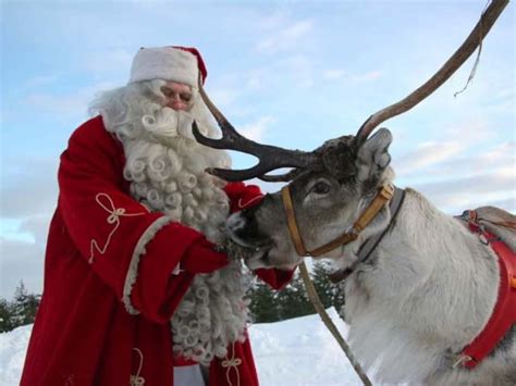 Reindeer Sleigh Ride To Santa Claus Village From Rovaniemi Tours