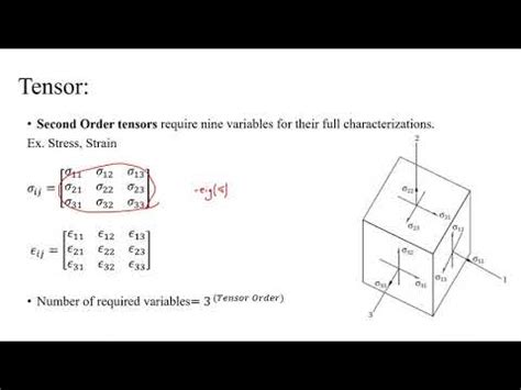 Lecture 1 Introduction To Tensors Definition And Examples YouTube