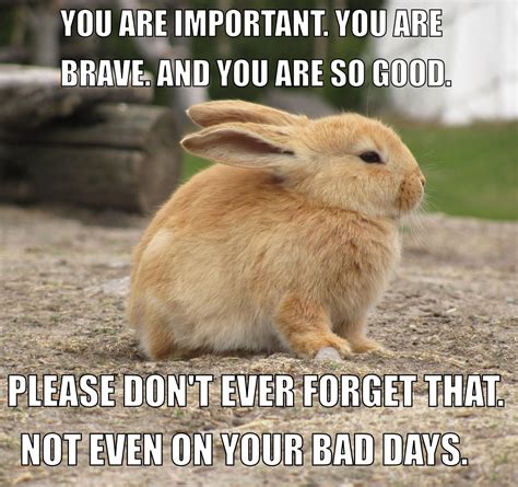 Inspiring and encouraging memes | The Random Vibez