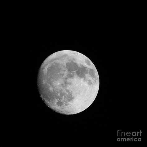 Almost Full Moon Photograph By Judy Whitton