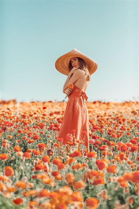 Dreamy Peach Flower Fields Flower Photoshoot Photoshoot Flower Field