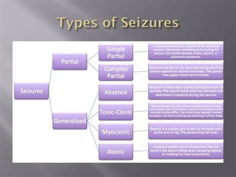 Seizures are a disruption of the electrical activity of the brain and they take several forms. Seizures: The Different Types and Their Symptoms - The ...