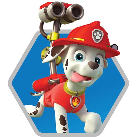 While one pup must face his past in. PAW Patrol Live! Race to the Rescue | Tickets, Show ...