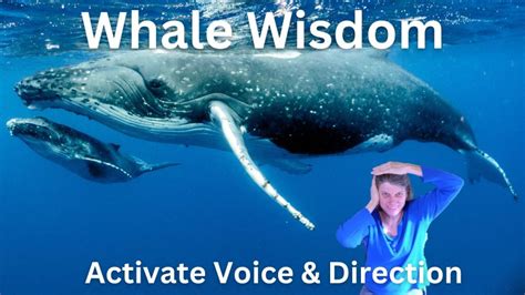 Whale Wisdom Activate Voice And Direction Sensing Vitality