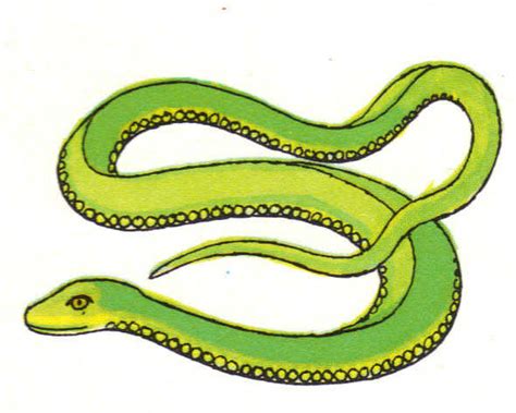 Apprendre à dessiner un serpent en quelques étapes simples. Dessin serpent couleur - Fonds d'écran HD