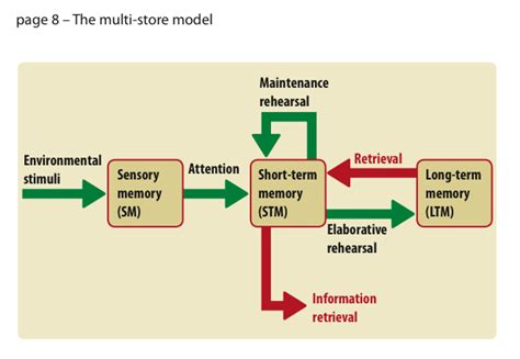 So atkinson and shiffrin class the sensory memory not as a storage system, but as what they call the attention system. Mr Wilson's A Level Psychology Blog: September 2012