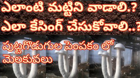 Milky Mushroom Cultivation How To Prepare Casing Soil In Telugu 3 Youtube