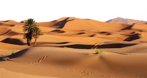 Desert Sand Png Isolated Image Png Mart