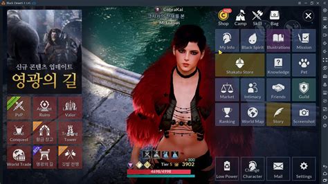 The sorceress class uses an amulet as their primary weapon and talisman as their secondary weapon. Black Desert Mobile - Sorcerer (Analisis pre y despertar) - YouTube