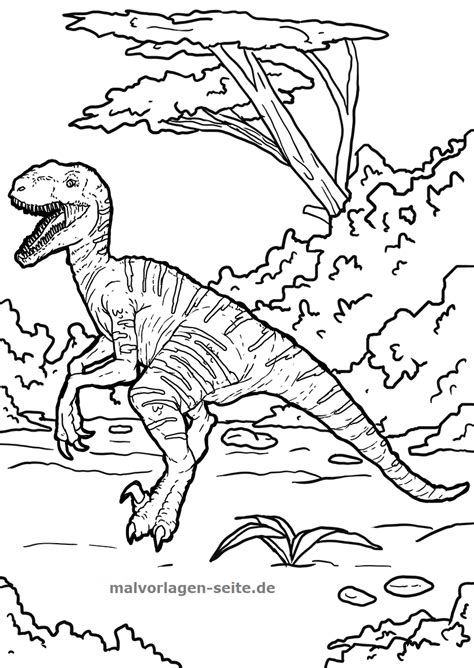 Malvorlage Velociraptor Dinosaurier Kostenlose Ausmalbilder