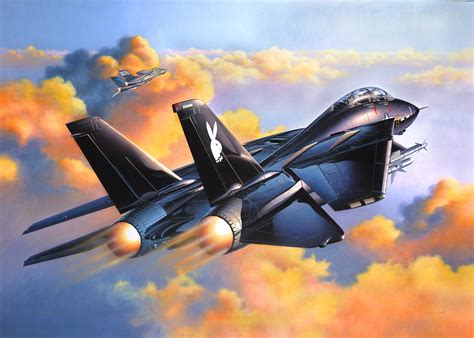 Grumman F 14 Tomcat Wallpaper Hd Download