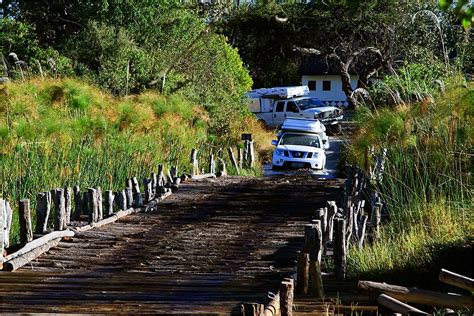 Morning and late afternoon game drives in open 4x4 vehicles offer frequent sightings of peeking out beneath giant ebony trees and a lush woodland canopy is camp moremi in the xakanaxa area of the moremi game reserve. Moremi Game Reserve - The heart of the Okavango Delta ...