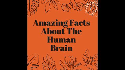 Amazing Facts About The Human Brain Brain Facts Youtube