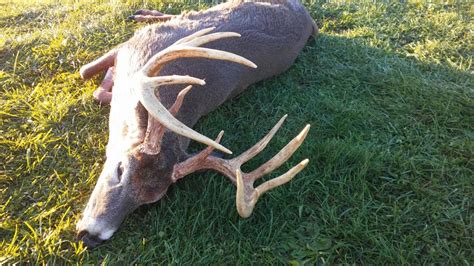 Pennsylvania 166 Archery Buck Big Deer
