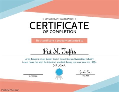 Elegant Certificate Of Completion Design Template Microsoft Word Docx