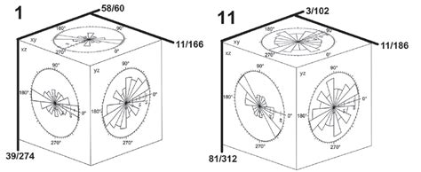 Suevite Cubes 1 And 11 From The Aumühle Quarry With Rose Diagrams On