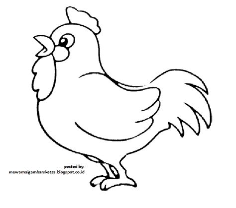 Mewarnai Gambar Mewarnai Gambar Sketsa Hewan Ayam 1 Gambar Hewan