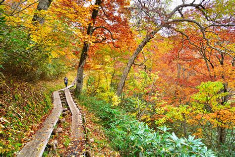Fall Trekking Tours In Japan 7 Sweet Spots For Hiking And Koyo Hunting