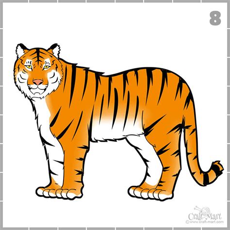 208 How To Draw A Tiger 8 Craft Mart