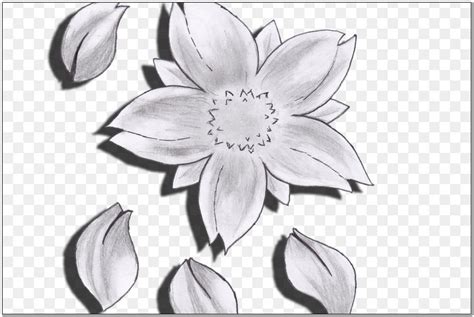 Paling Bagus 22 Sketsa Bunga Di Kanvas Gambar Bunga Hd