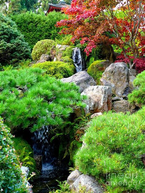 The above featured bridge is a picturesque wooden arch over a shallow, still stream. Waterfalls In Japanese Garden Photograph by Carol Groenen