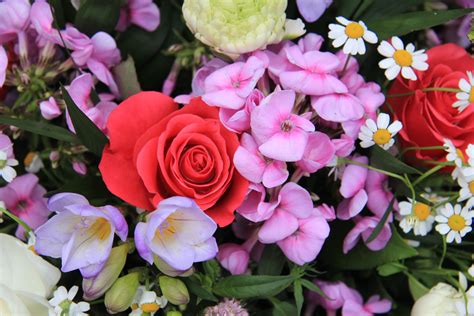 Emilie Geisler Best Smelling Flowers To Plant 11 Best
