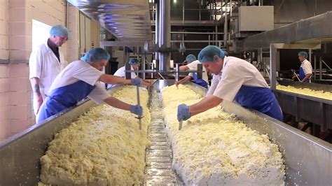 Cheese Making Process | Doovi