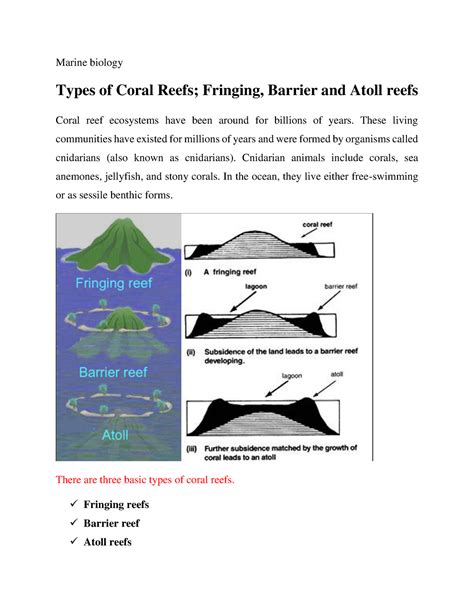 Types Of Coral Reefs Fringing Barrier And Atoll Reefs Marine