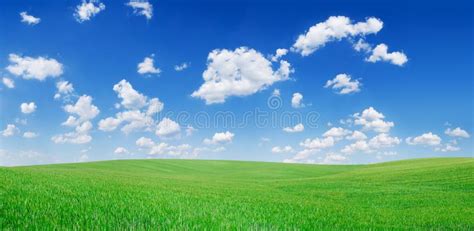 Green Rolling Fields Stock Image Image Of Clear Summer 40026173