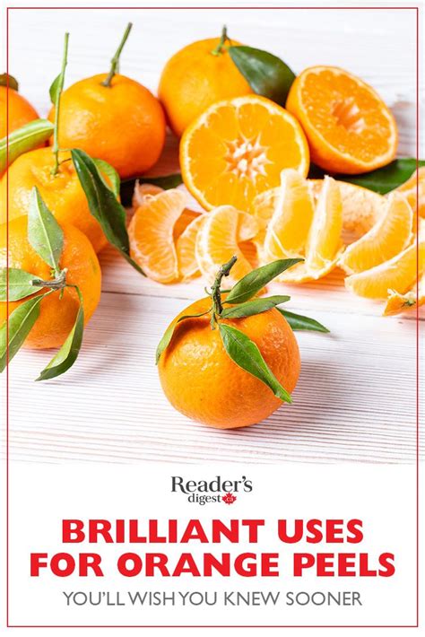 9 Brilliant Uses For Orange Peels Youll Wish You Knew Sooner Orange