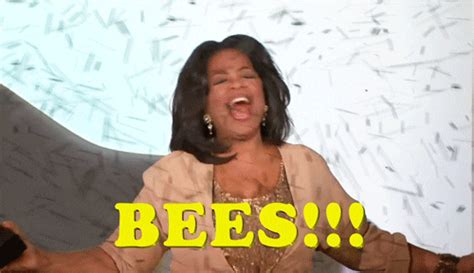 Bees S Find And Share On Giphy