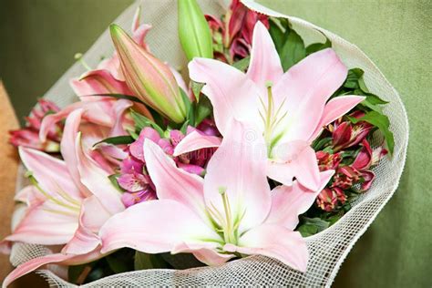 Beautiful Pink Lily Flower Bouquet Stock Image Image Of Beauty