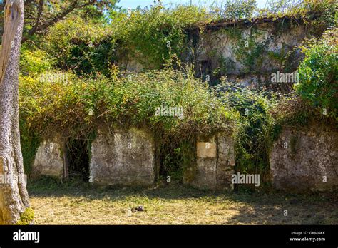 Old Abandoned Farmhouse In Ruins Stock Photo Alamy