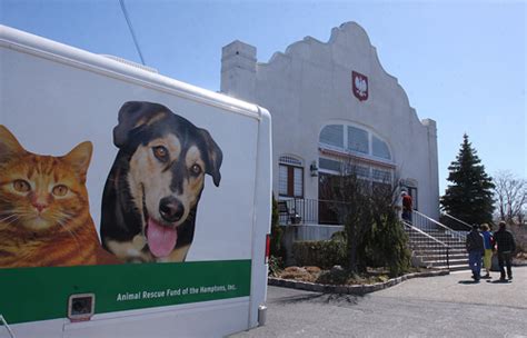 Adopt a pet from north shore animal league america today! Long Island shelters come together for adoption event ...