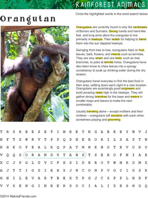 Animal inspired names for boys: Fact Sheet and Word Search for Orangutan Habitat - MakingFriends