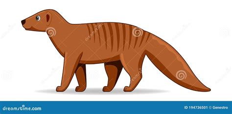 Mongoose Animal Standing On A White Background Stock Vector