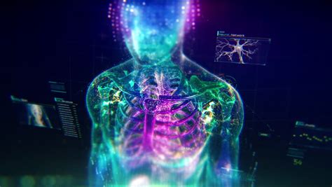 Colorful Human Body Animation With Stock Footage Video